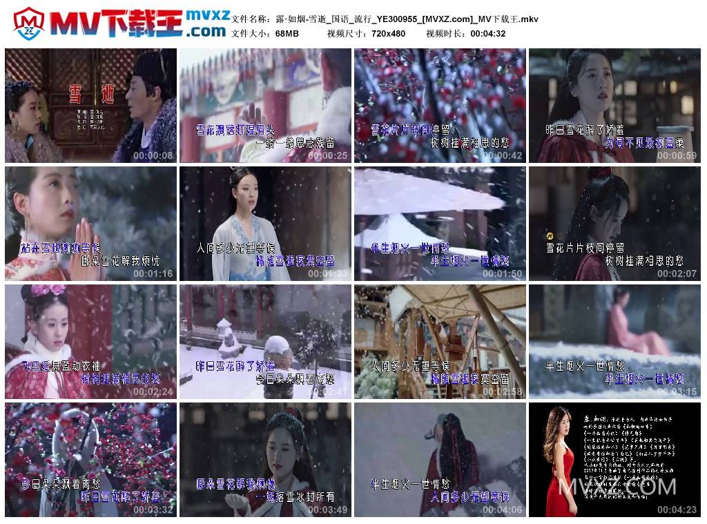 露·如烟-雪逝_国语_流行_YE300955